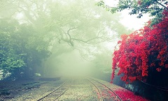 长沙雨花剩余电讯有限公司